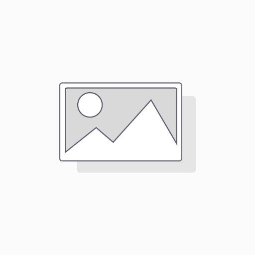 [518834] PAUS Flach-Sicherungseinsatz 20A (518834)